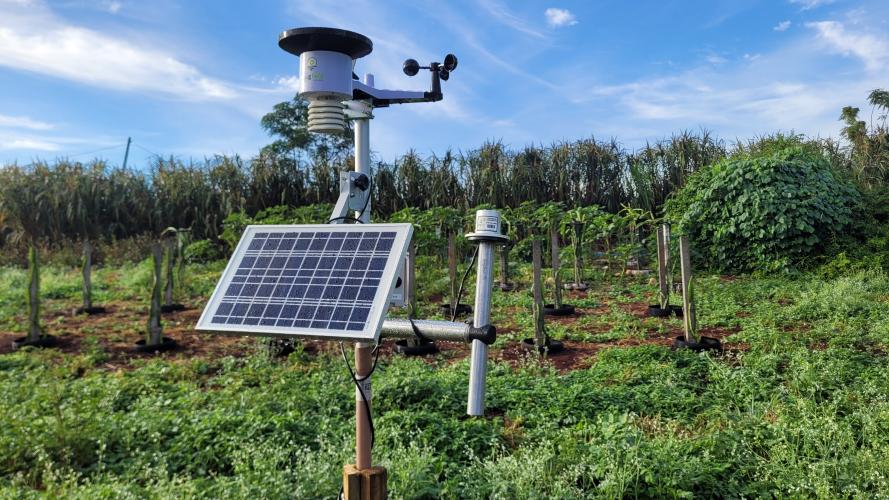 Protótipo de sistema de irrigação inteligente melhora o manejo de água