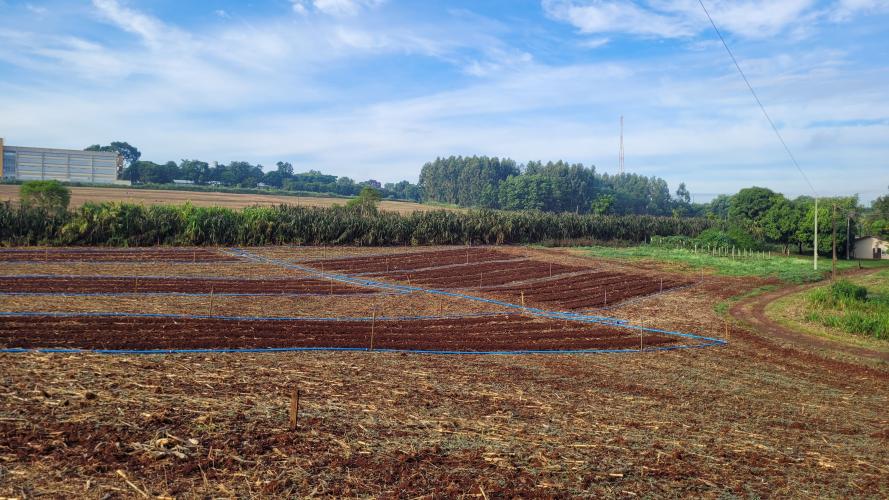 Protótipo de sistema de irrigação inteligente melhora o manejo de água