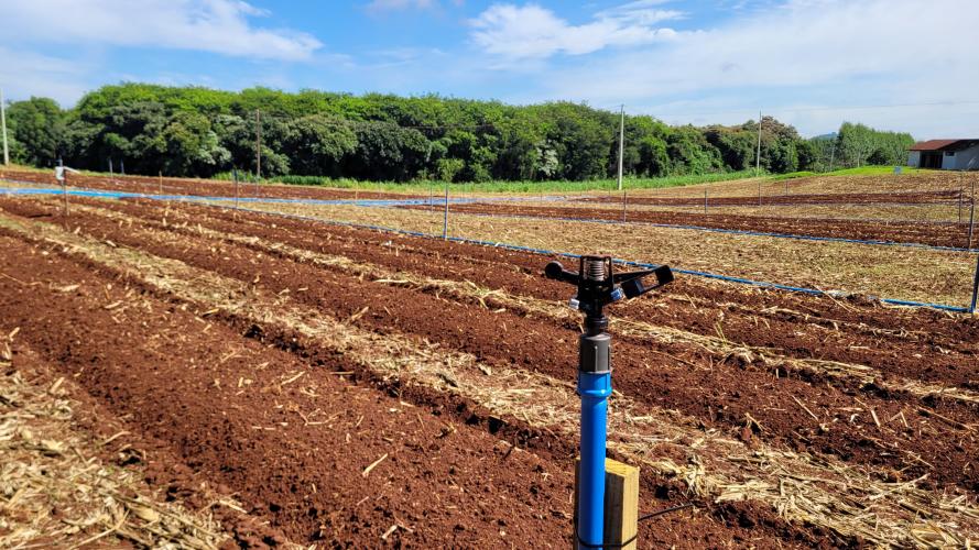 Protótipo de sistema de irrigação inteligente melhora o manejo de água
