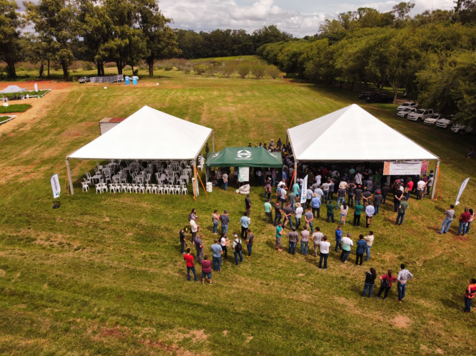 IDR-Paraná realiza 25º edição do Dia de Campo Centro Sul Feijão e Milho