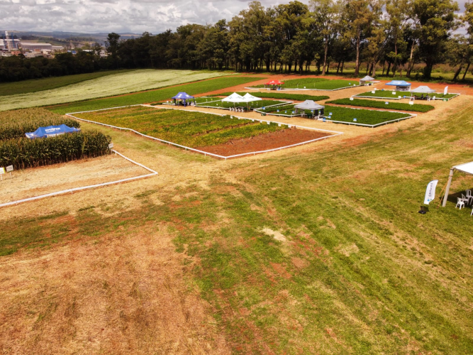 IDR-Paraná realiza 25º edição do Dia de Campo Centro Sul Feijão e Milho
