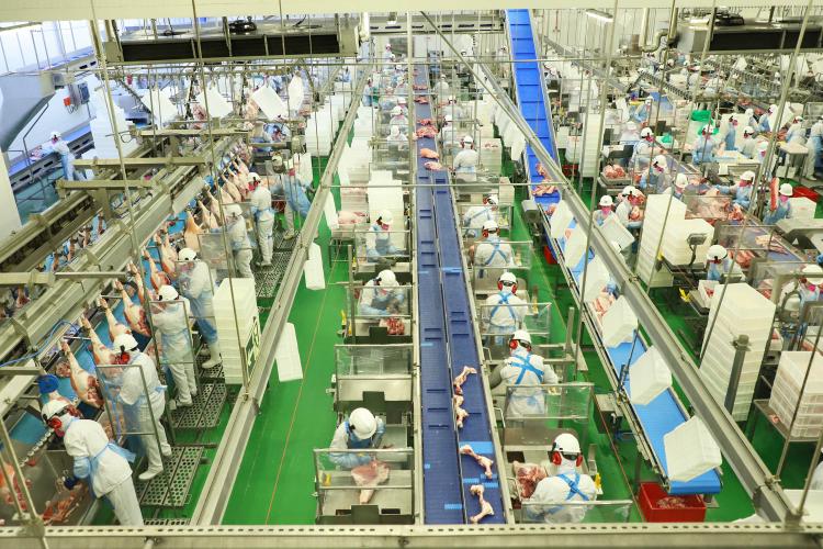 Preços estão mais animadores e produtores paranaenses podem ter ganhos na safra