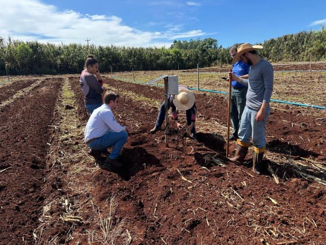 Protótipo de sistema de irrigação inteligente melhora o manejo de água