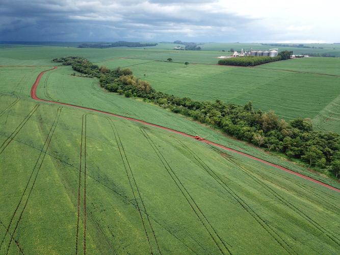 Paraná propõe ao governo federal Plano Safra 2025/26 com R$ 597 bilhões