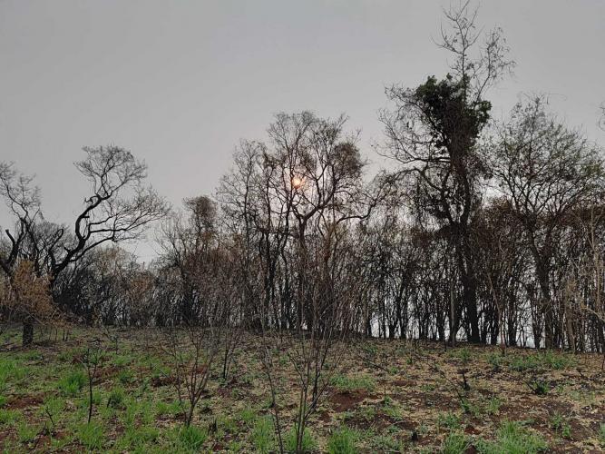 Desafios das mudanças climáticas