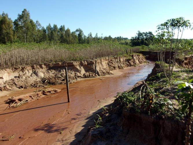 Desafios das mudanças climáticas