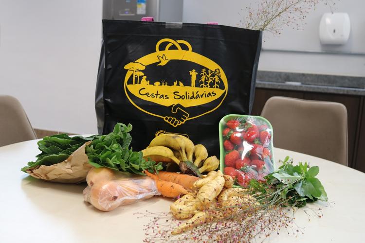 Dia do Consumidor: O papel das Cestas Solidárias no fortalecimento do consumo sustentável