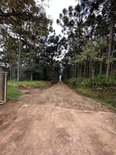 Adequação, Readequação e recuperação de trafegabilidade de estradas rurais terá protocolo técnico único no estado