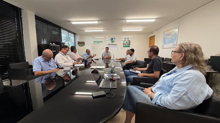 Preparativos para o XVIII Seminário Nacional de Milho Safrinha