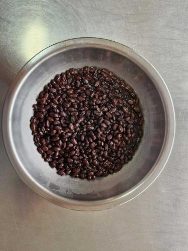 IDR-Paraná lança cultivar de feijão em Ponta Grossa