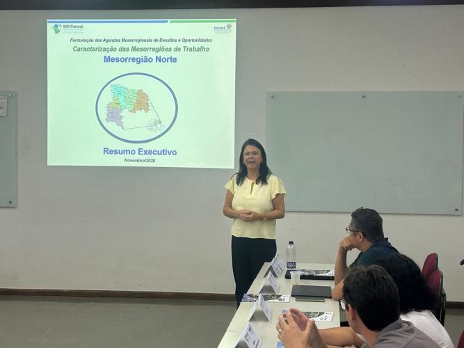 Consultivo da Mesorregião Norte faz planejamento estratégico