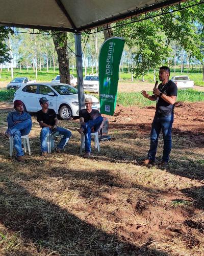 IDR-Paraná leva estratégias para modernizar a pecuária de corte na região de Umuarama