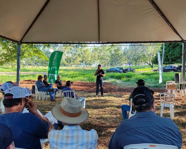 IDR-Paraná leva estratégias para modernizar a pecuária de corte na região de Umuarama
