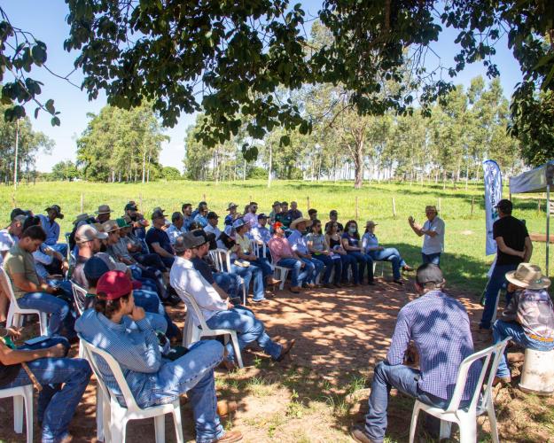 IDR-Paraná leva estratégias para modernizar a pecuária de corte na região de Umuarama