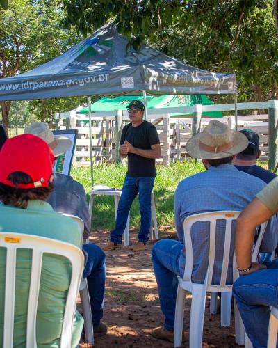 IDR-Paraná leva estratégias para modernizar a pecuária de corte na região de Umuarama