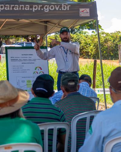 IDR-Paraná leva estratégias para modernizar a pecuária de corte na região de Umuarama