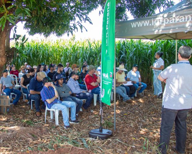 IDR-Paraná leva estratégias para modernizar a pecuária de corte na região de Umuarama