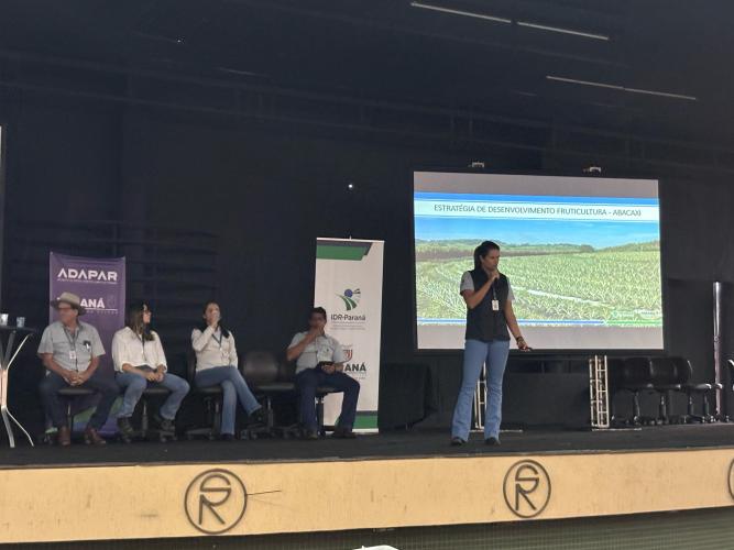 IDR-Paraná destaca ações para fomentar agricultura orgânica no Norte do Estado