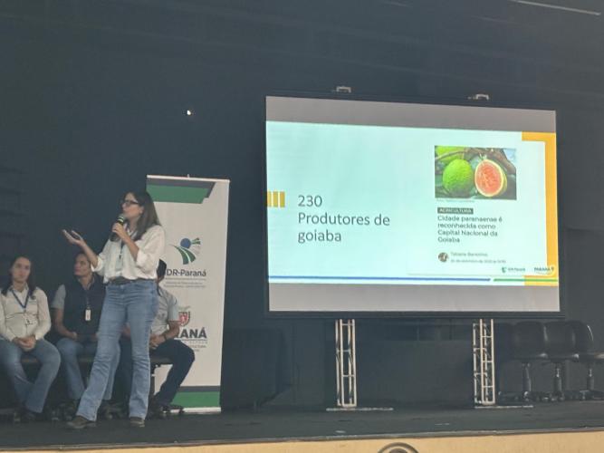 IDR-Paraná destaca ações para fomentar agricultura orgânica no Norte do Estado