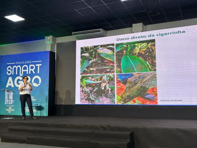 Estado auxilia produtores de soja e milho a investirem em ciência na ExpoLondrina