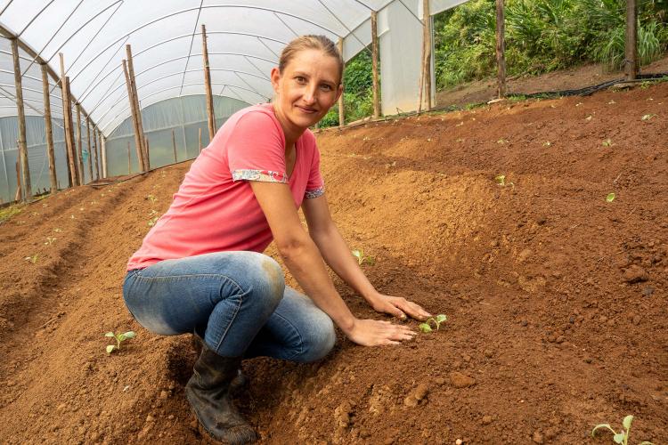 Estado compra R$ 130 milhões da agricultura familiar e distribui 19 mil toneladas de alimentos