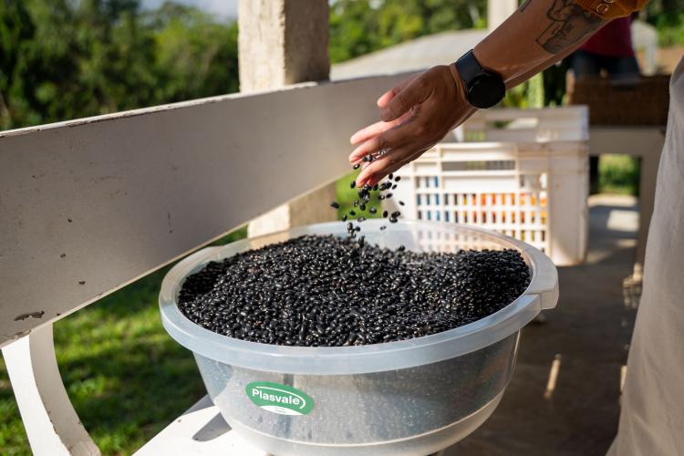 Estado compra R$ 130 milhões da agricultura familiar e distribui 19 mil toneladas de alimentos