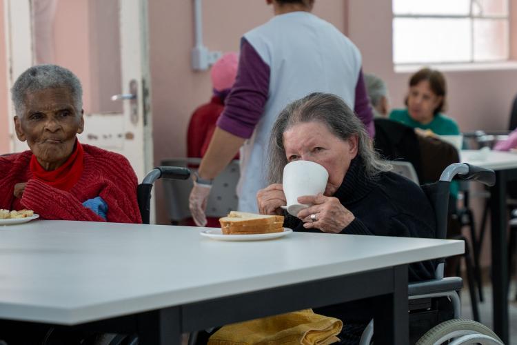 Estado compra R$ 130 milhões da agricultura familiar e distribui 19 mil toneladas de alimentos