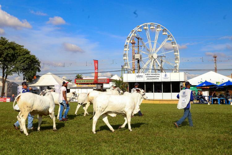 Governo do Paraná apresenta inovação e tecnologia aplicada ao agro na ExpoLondrina 2025
