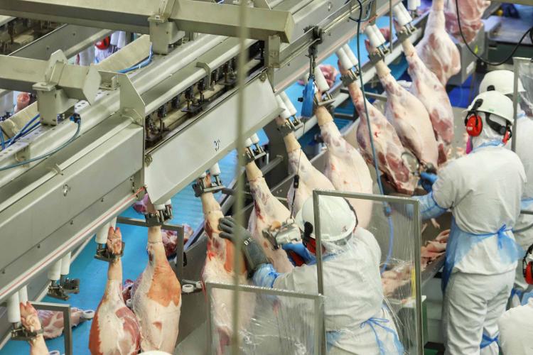 Paraná alcança em março de 2025 o 2º maior aumento das exportação de carne suína