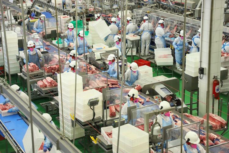 Paraná alcança em março de 2025 o 2º maior aumento das exportação de carne suína