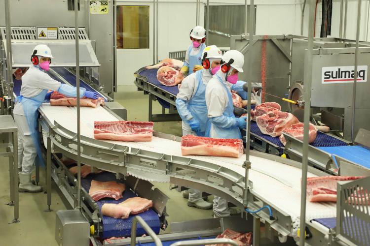 Paraná alcança em março de 2025 o 2º maior aumento das exportação de carne suína