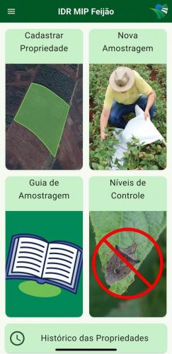 Manejo de pragas do feijão ganha aplicativo para celulares