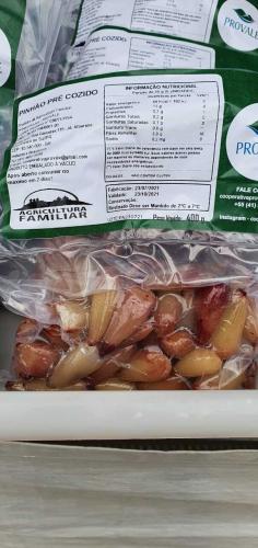 Colheita de pinhão é liberada no Paraná