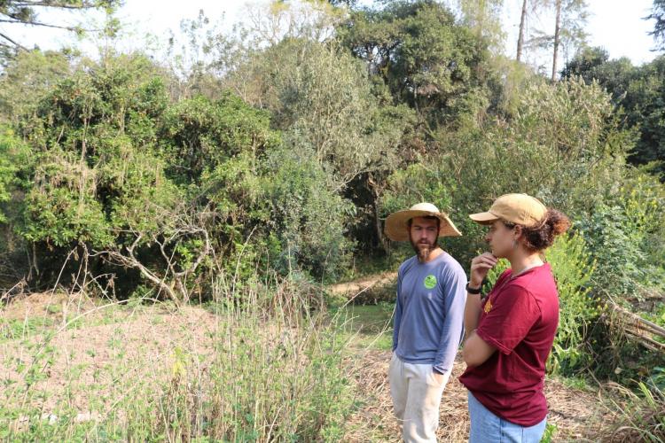 Paraná dispara no número de agricultores orgânicos certificados