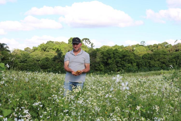 Paraná dispara no número de agricultores orgânicos certificados