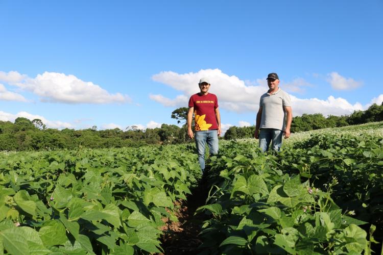Paraná dispara no número de agricultores orgânicos certificados