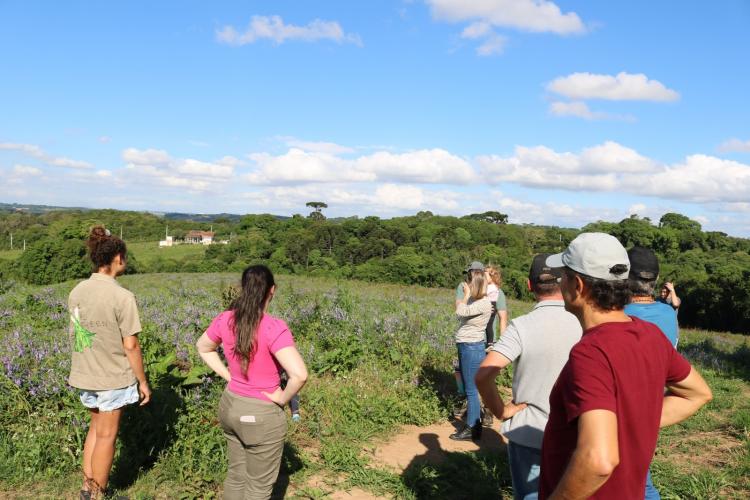 Paraná dispara no número de agricultores orgânicos certificados