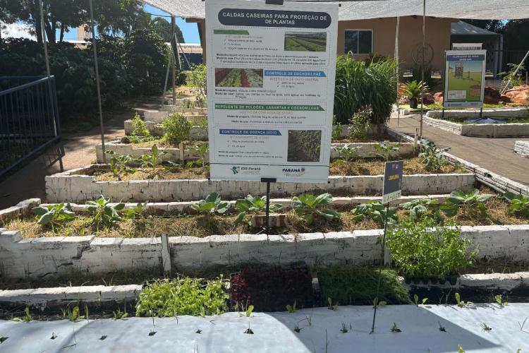 Via Rural Smart Farm reúne 19 mil pessoas no primeiro fim de semana da ExpoLondrina