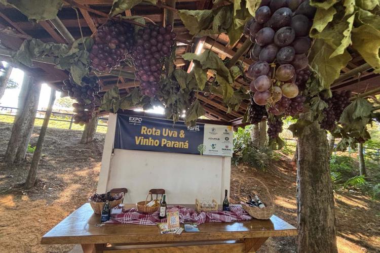 Via Rural Smart Farm reúne 19 mil pessoas no primeiro fim de semana da ExpoLondrina