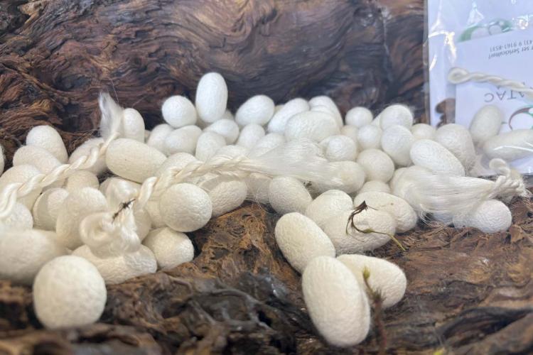 Via Rural Smart Farm reúne 19 mil pessoas no primeiro fim de semana da ExpoLondrina