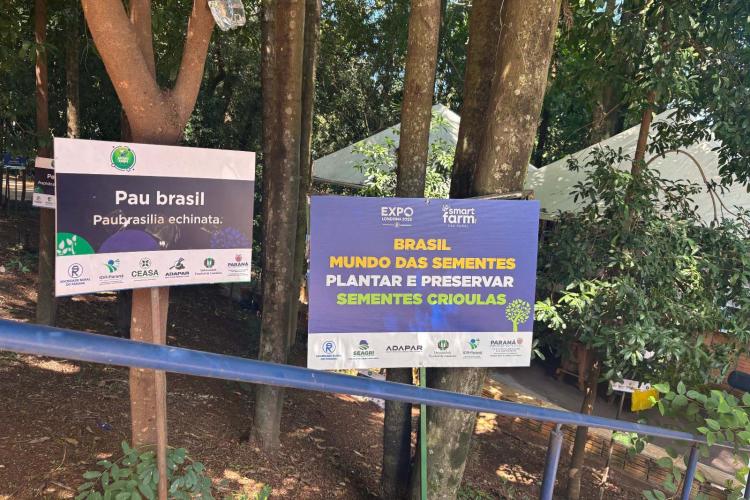 Via Rural Smart Farm reúne 19 mil pessoas no primeiro fim de semana da ExpoLondrina