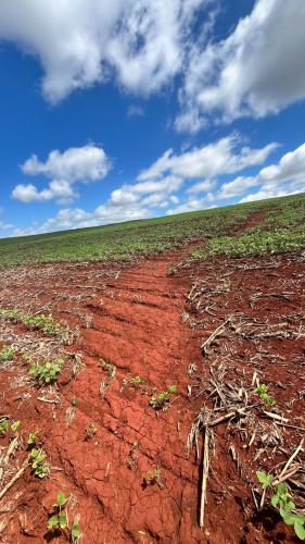Livro reúne avanços sobre conservação de solo e água no Paraná