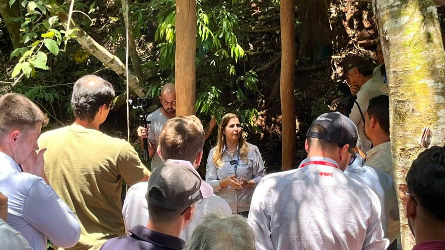 Livro reúne avanços sobre conservação de solo e água no Paraná