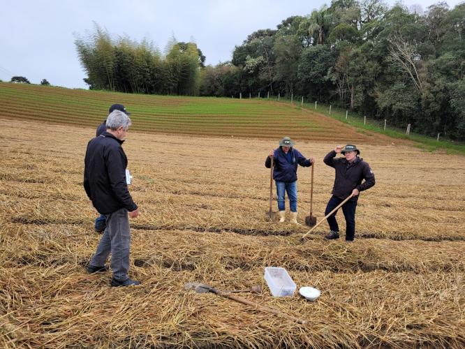 Extensão Rural comemora 69 anos no Paraná