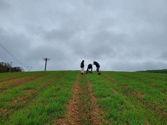 Extensão Rural comemora 69 anos no Paraná