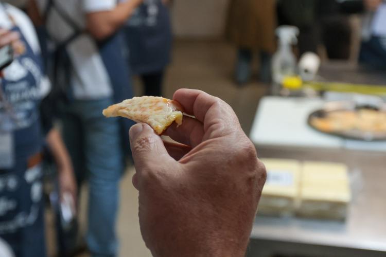 Queijos do Paraná: como o prêmio faz diferença para os produtores do Estado