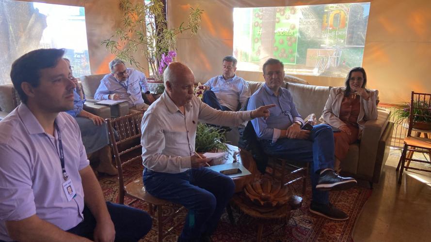 Paraná inicia mapeamento de pomares de uva para reforçar prevenção contra deriva de agrotóxicos