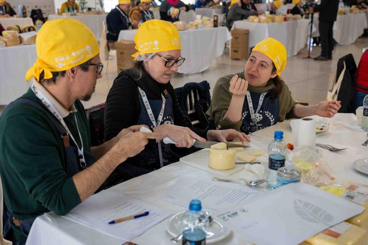 Bicampeão: queijo da Frimesa de Marechal Cândido Rondon é o melhor do Paraná