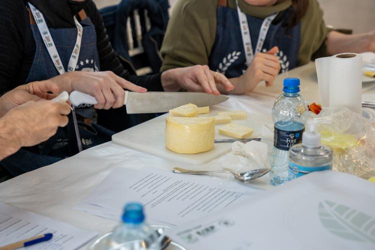 Bicampeão: queijo da Frimesa de Marechal Cândido Rondon é o melhor do Paraná