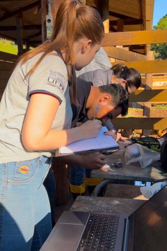 Melhoramento genético da raça Purunã deve ampliar oferta e elevar qualidade da carne